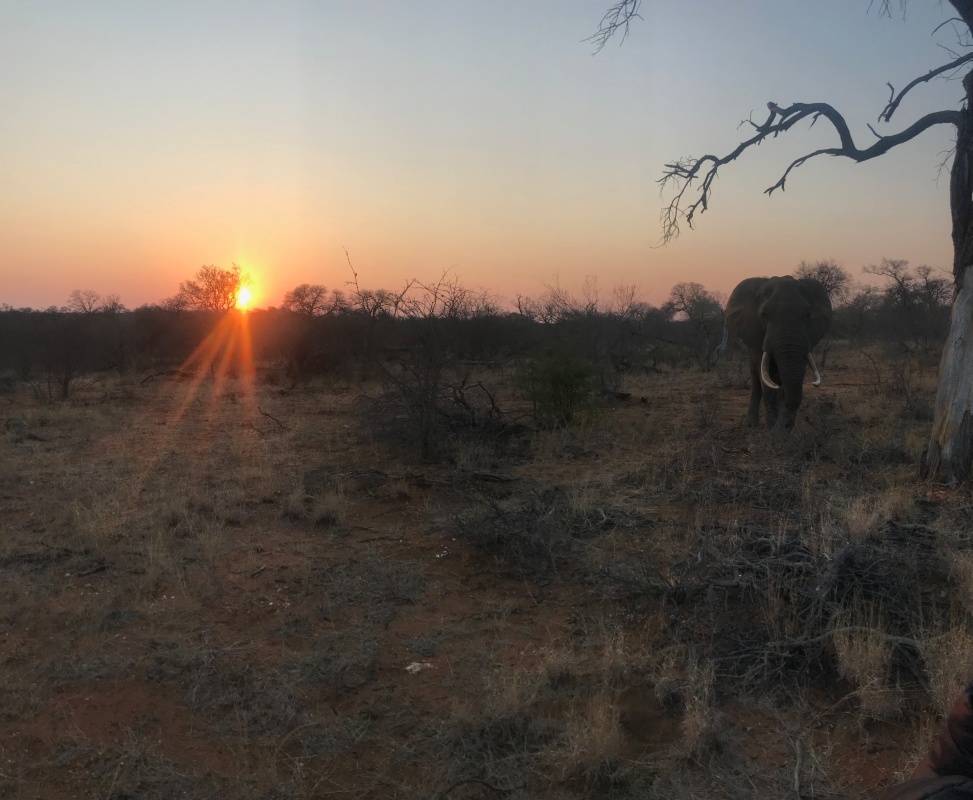 Parco Nazionale Kruger