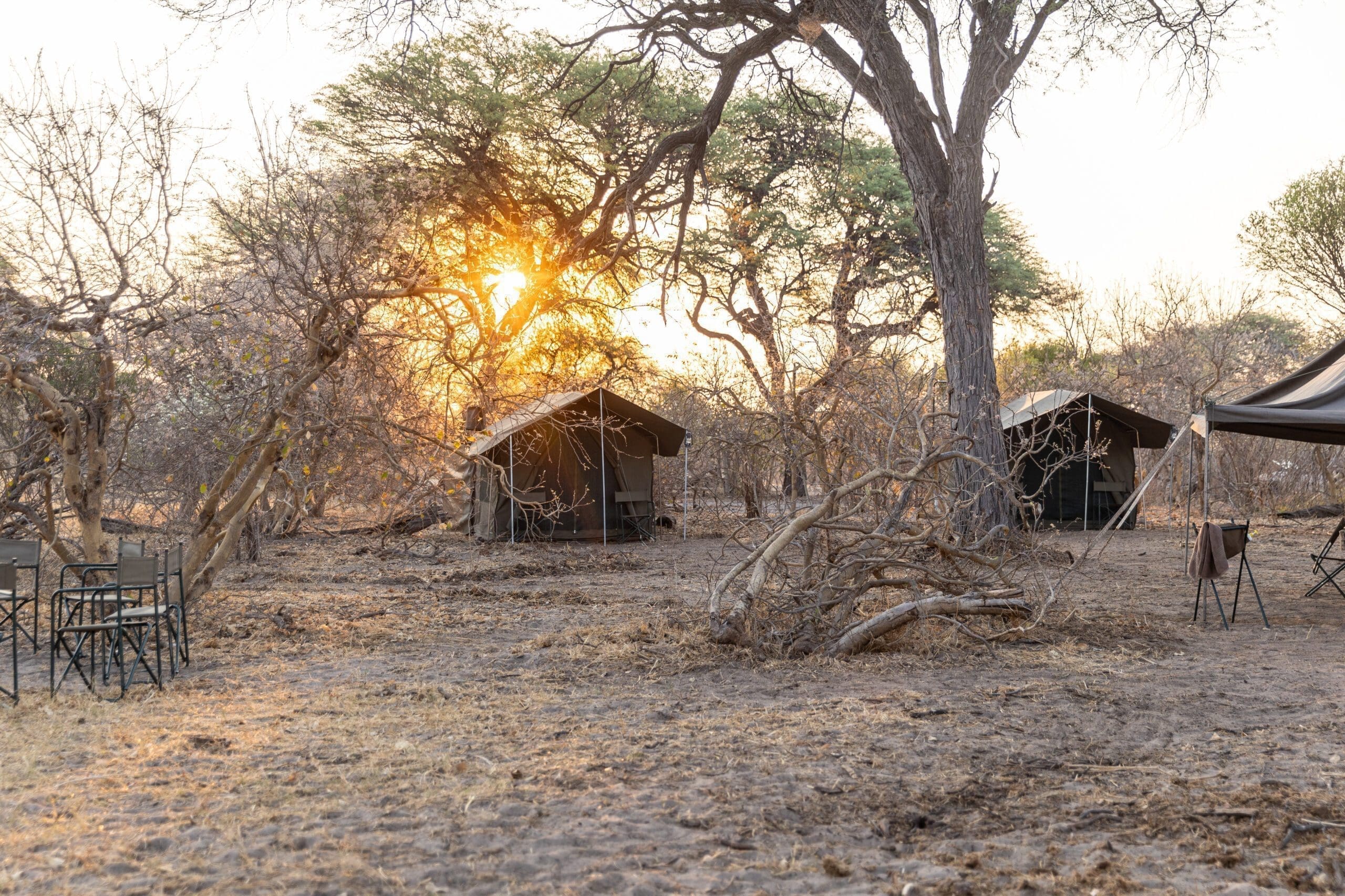 Tent in Mababe Concession | Sandy Tracks