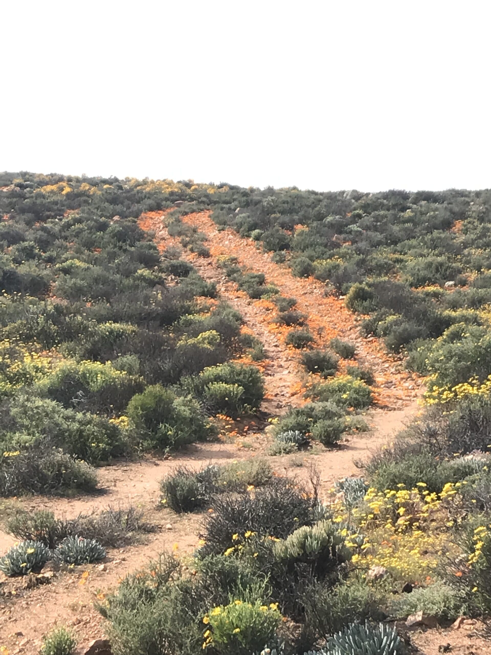 Goegap nature reserve