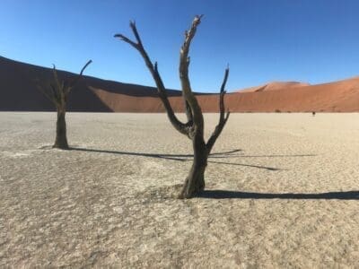 Travel to Namibia