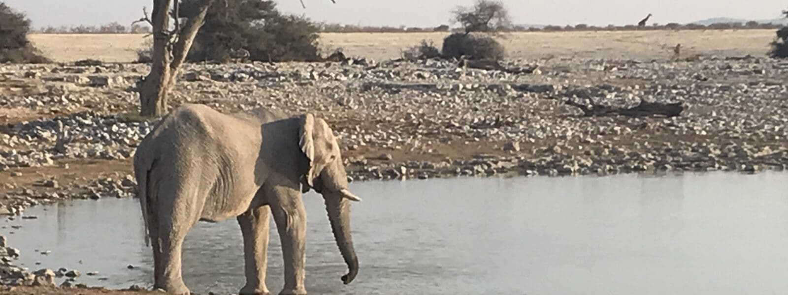 Etosha National Park