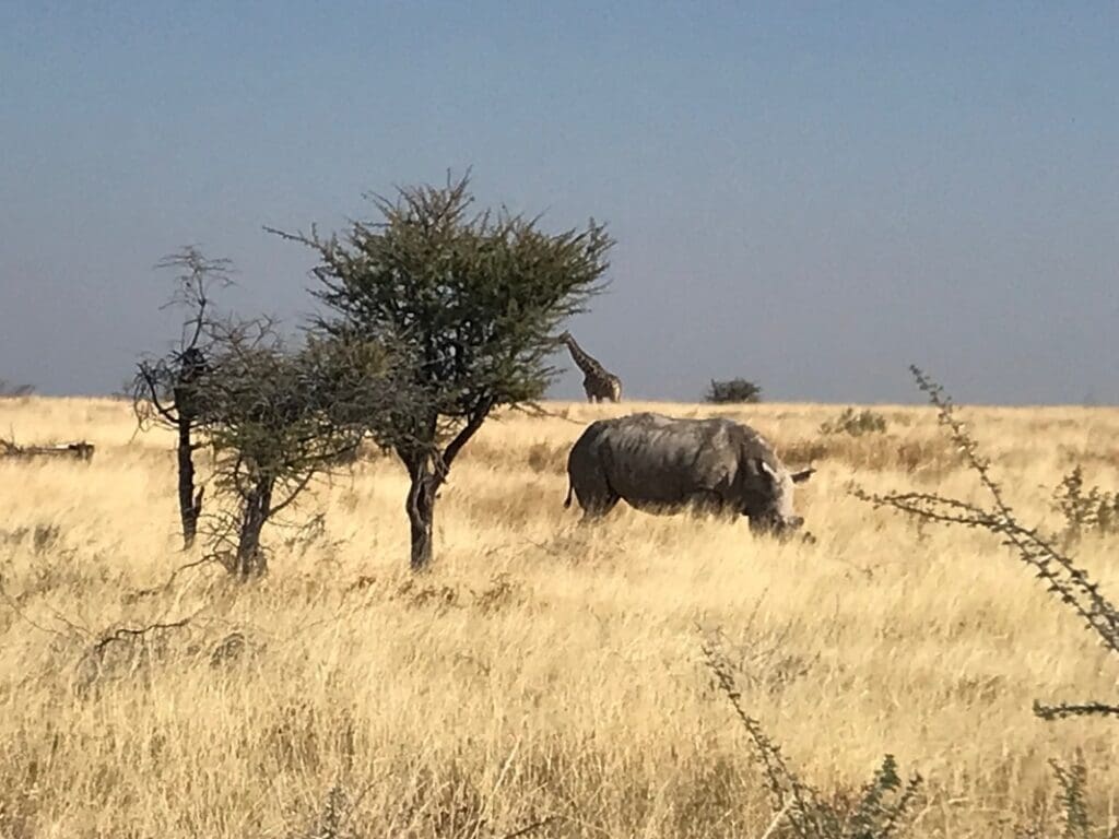 Parco Nazionale Etosha