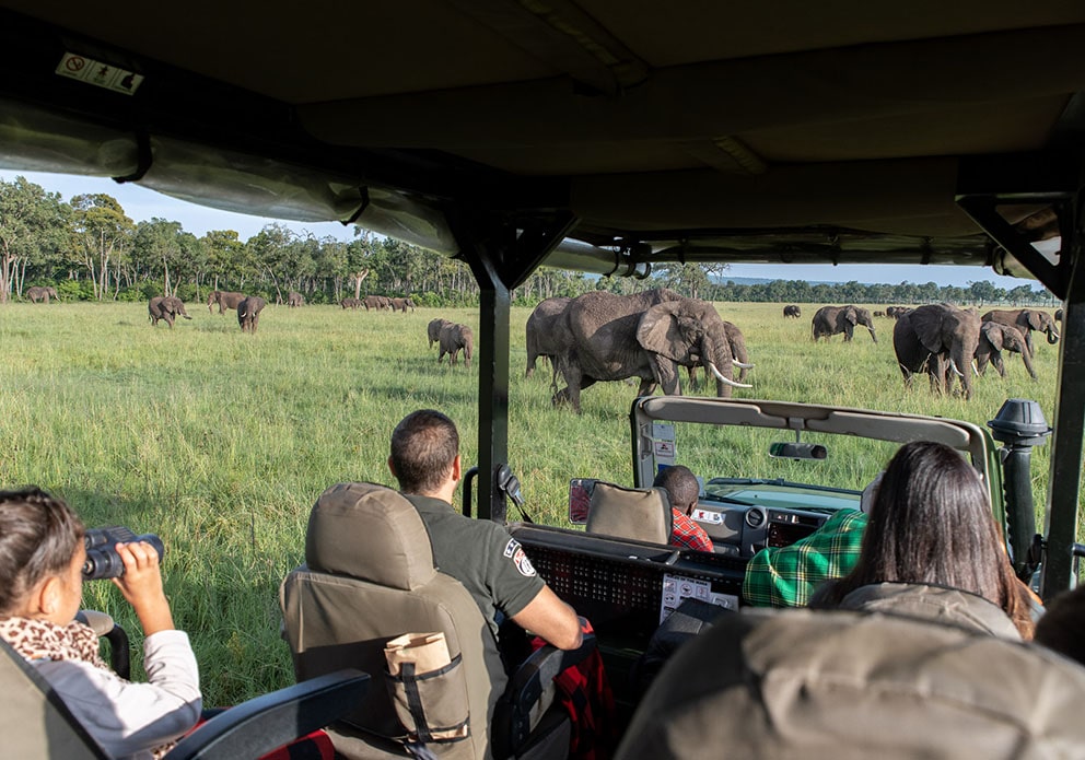 Kenya Safaris