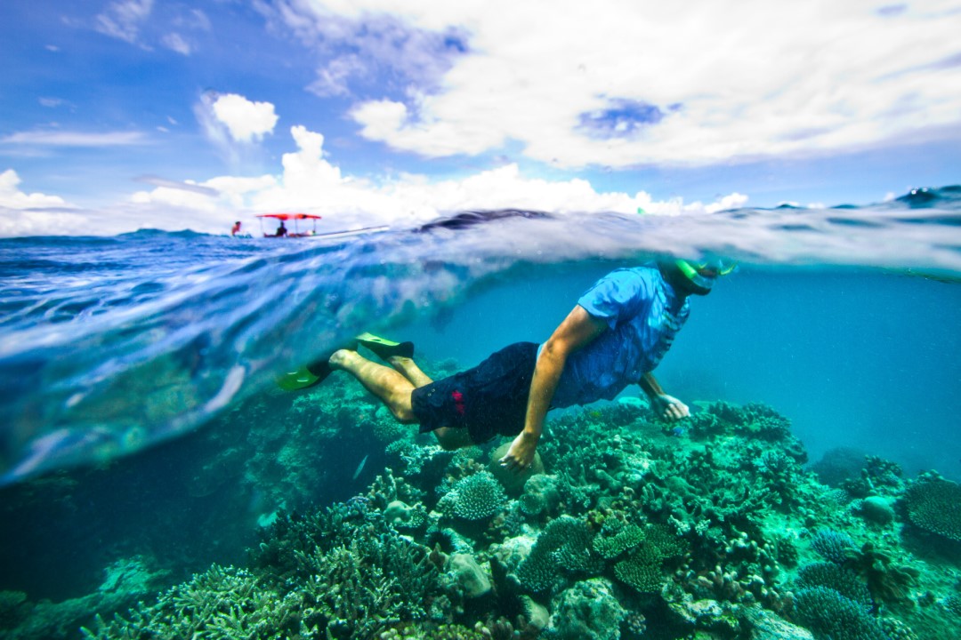 Zanzibar Snorkelling