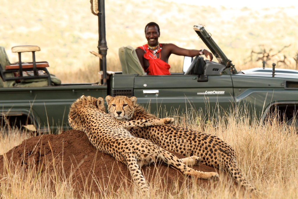 African Cheetah Safari | Sandy Tracks