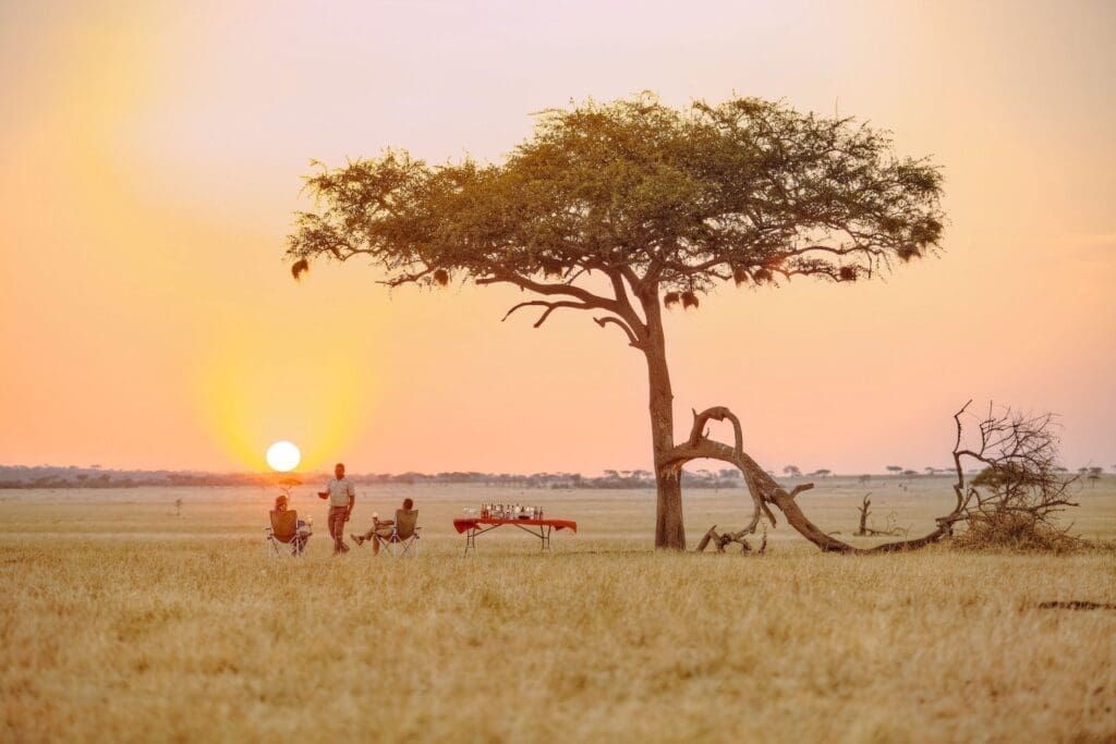 Discovering Tanzania Serengeti national Park 