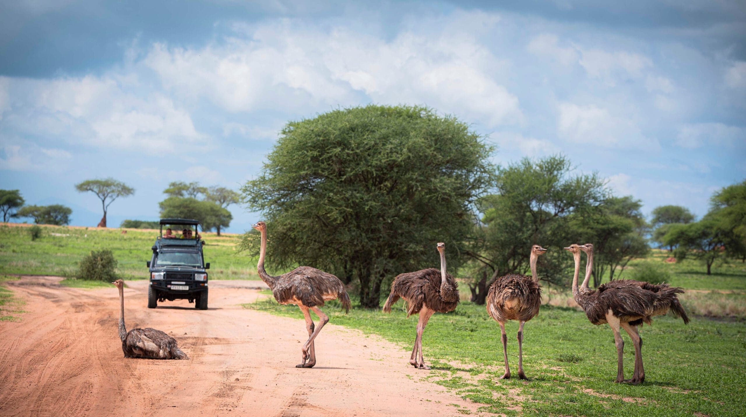 Tarangire National Park