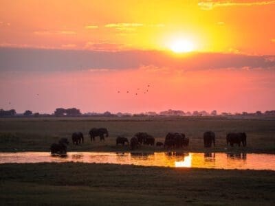 Okavango Delta