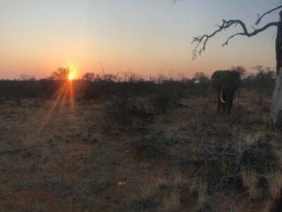 Kruger National Park Klassiker