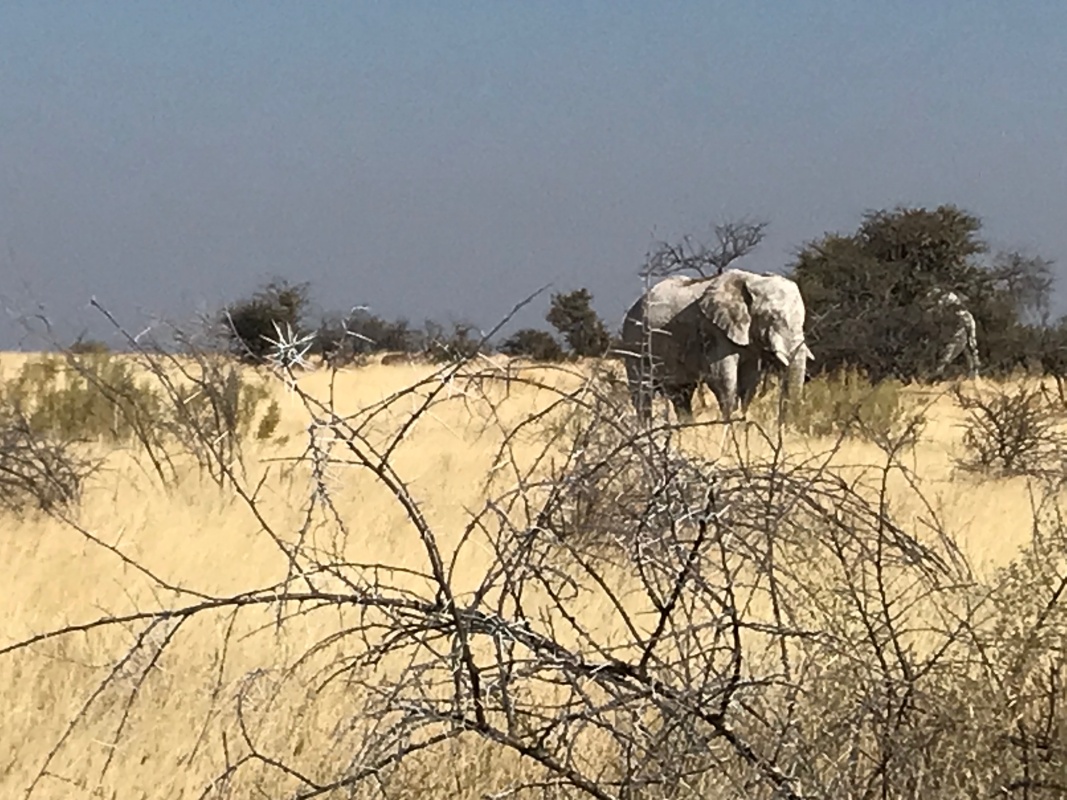 Etosha National Park