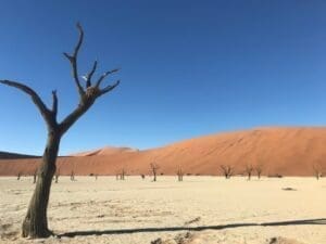 Sossusvlei