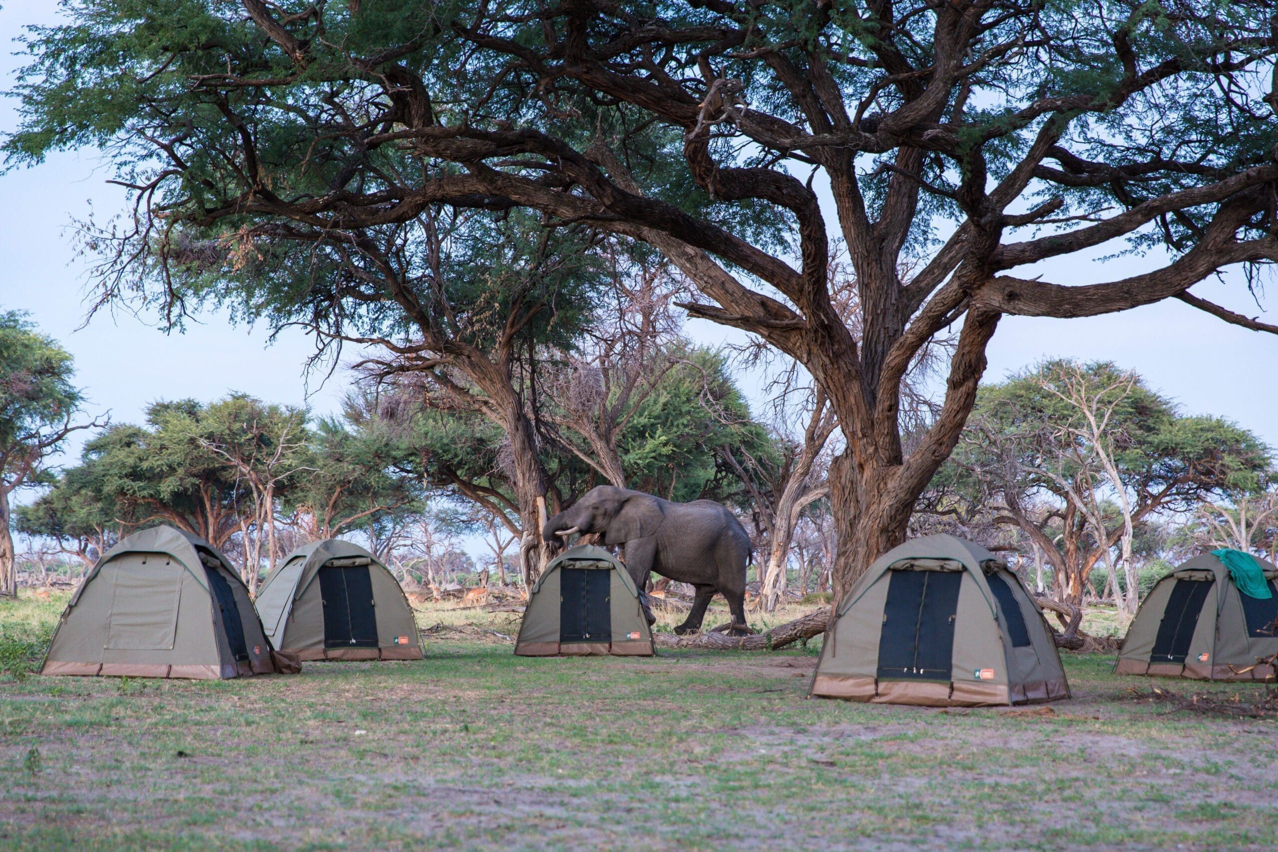 Botswana Free Camping