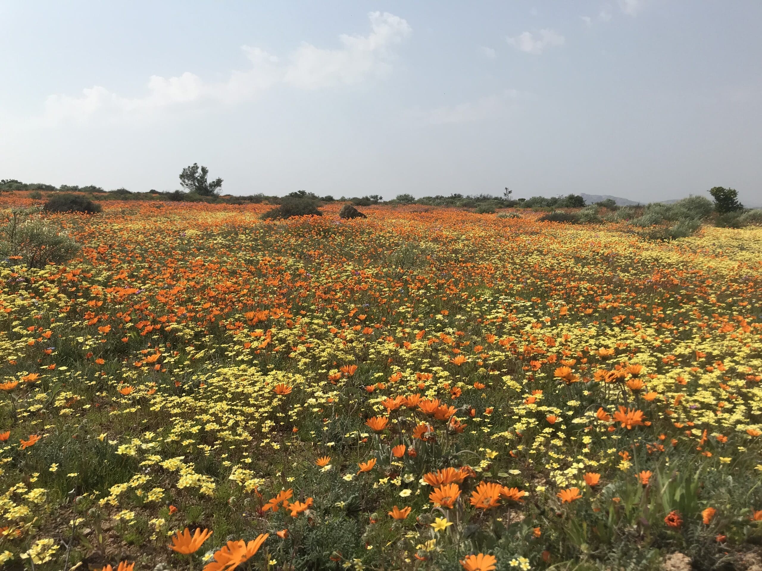 Namaqualand Nature Reserve