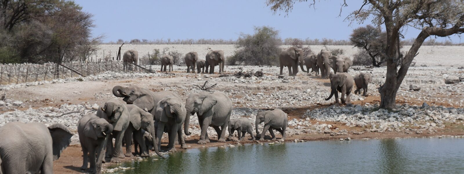 Etosha National Park