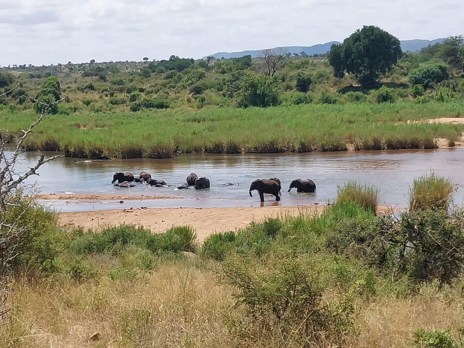 Lower Sabie River