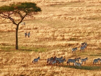 Serengeti National Park