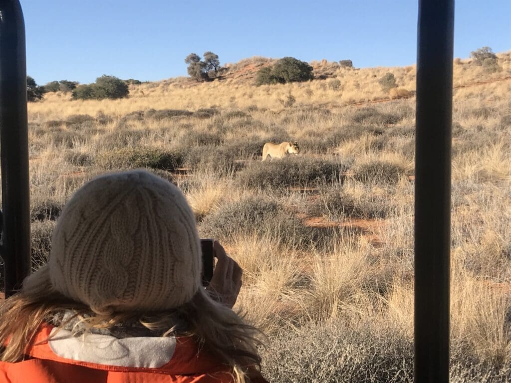 Xaus Lodge
Kgalagadi Transfrontier Park