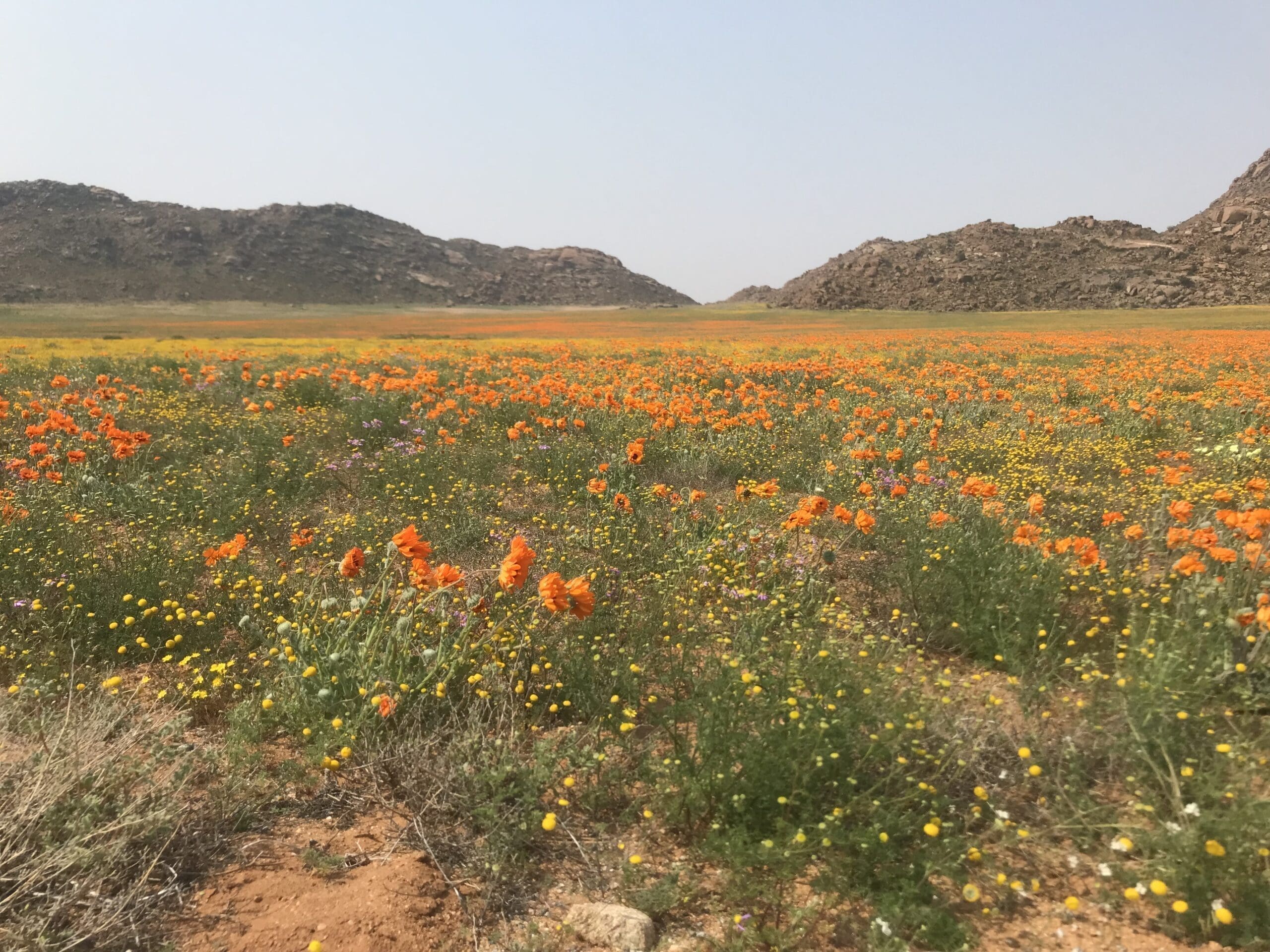 Goegap Nature Reserve