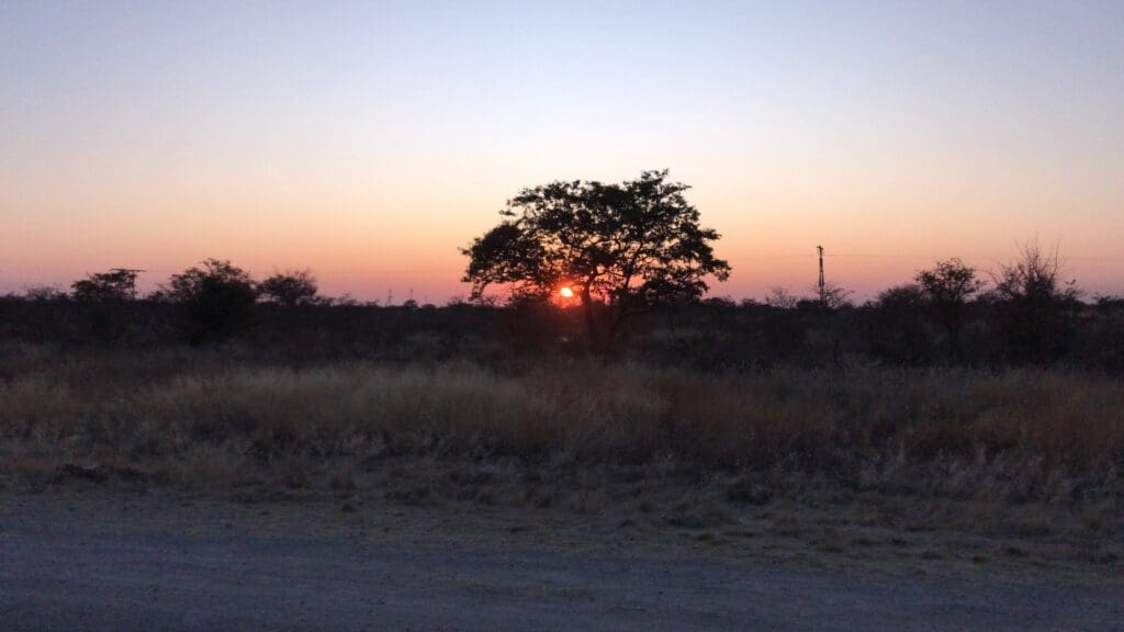 Etosha Nationaal Park