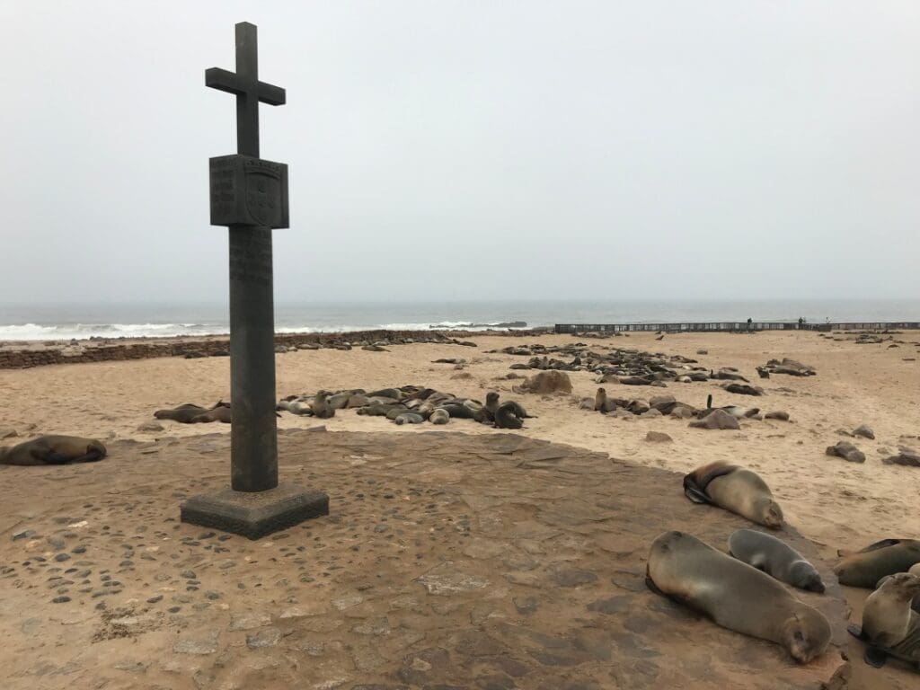 Cape Cross Zeehondenkolonie