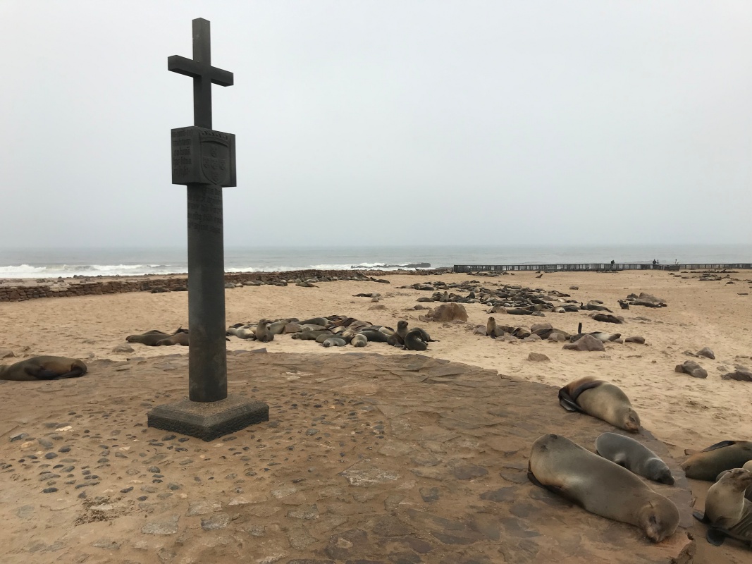 Cape Cross Seal Colony