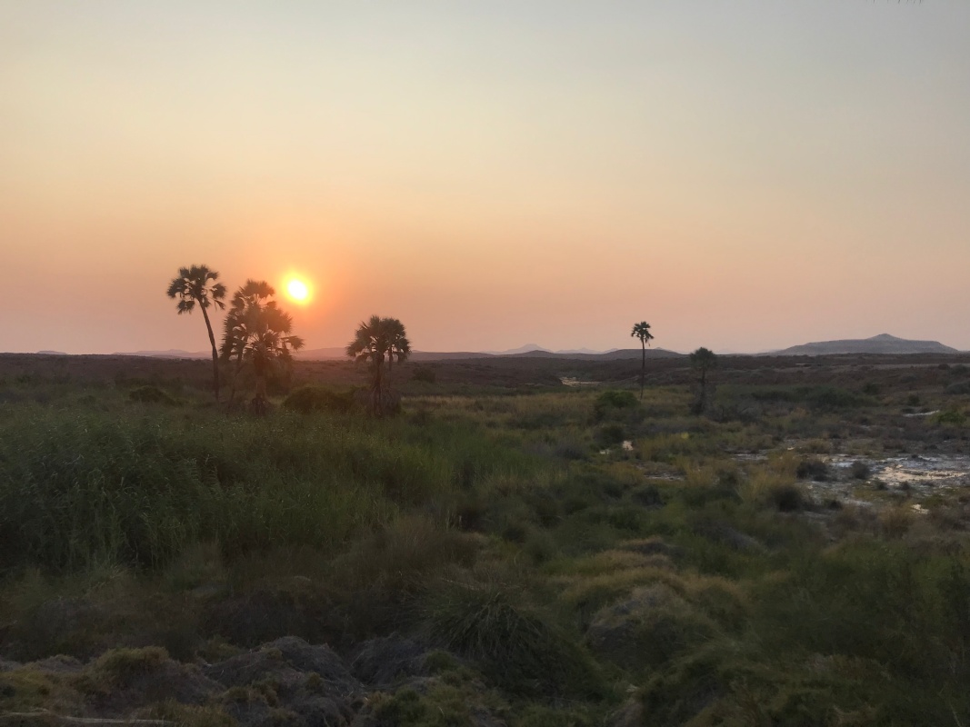 Palmwag Lodge