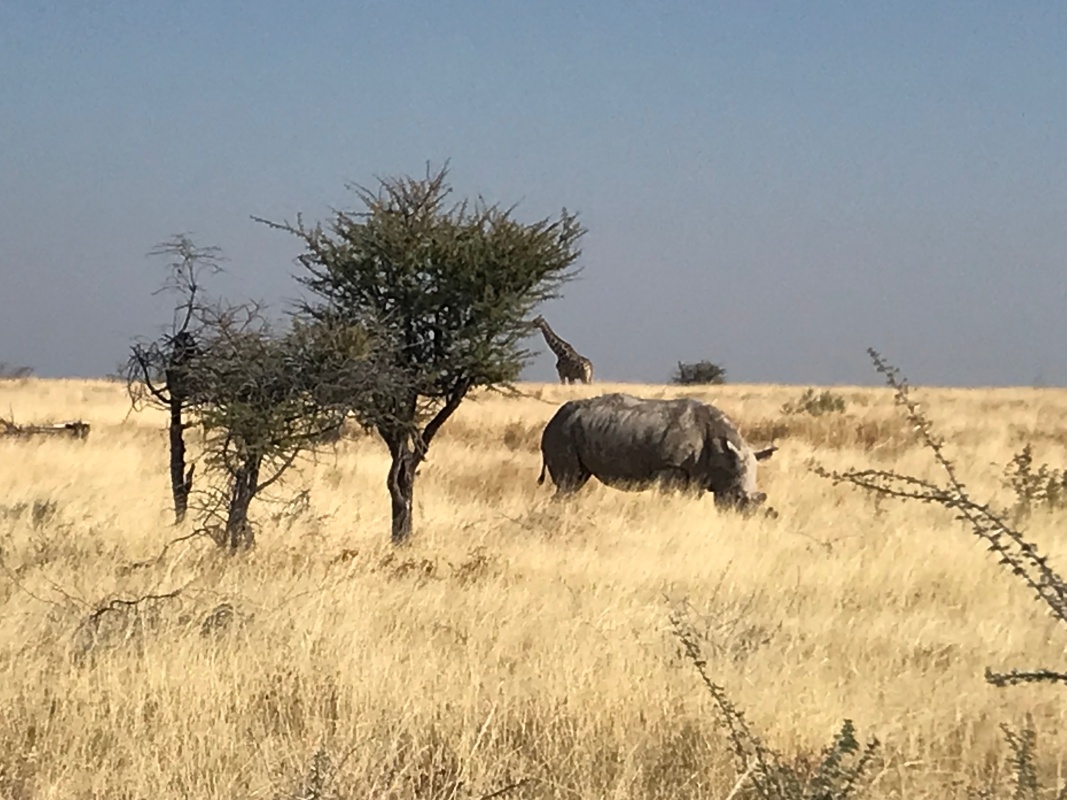 Etosha National Park