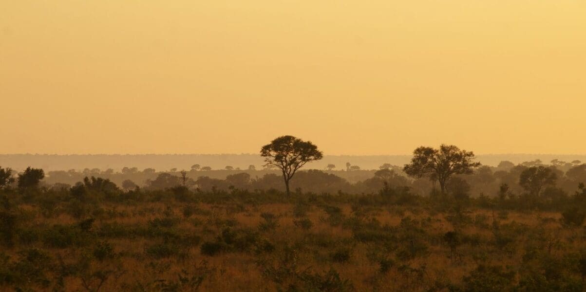 Kruger National Park