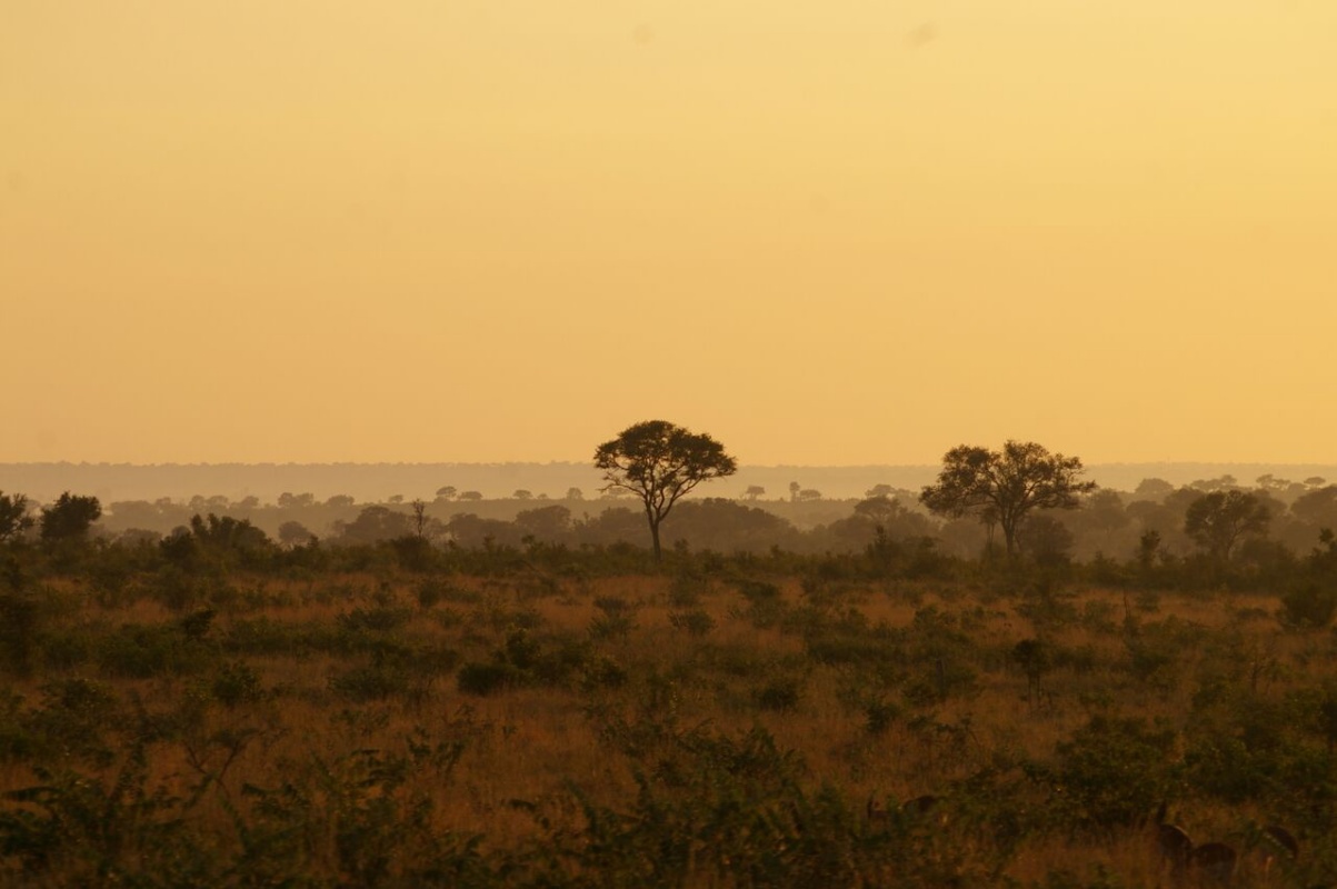 Kruger National Park