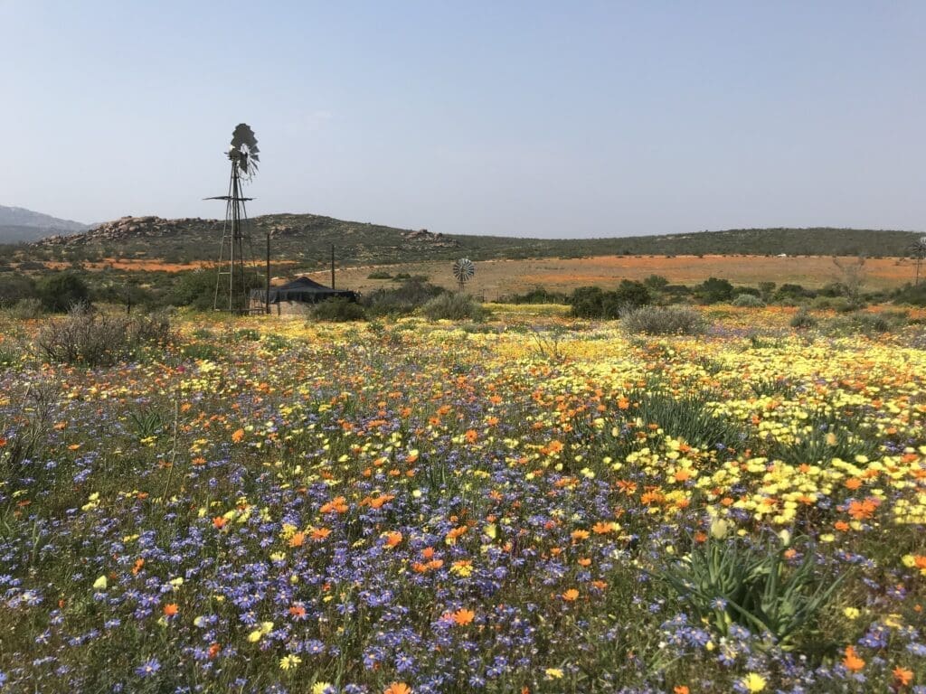 Namaqualand