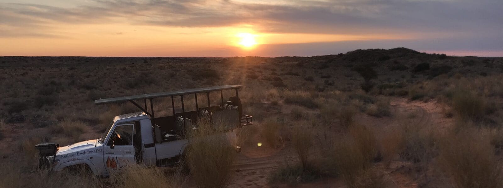 Parque Transfronteiriço Kgalagadi