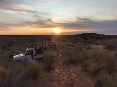 Kgalagadi Transfrontier Park