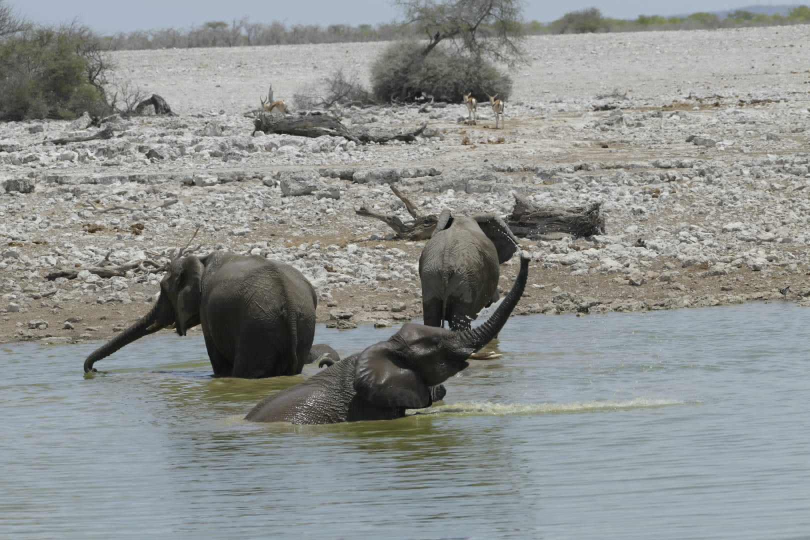 Namibia Tours and Safaris 