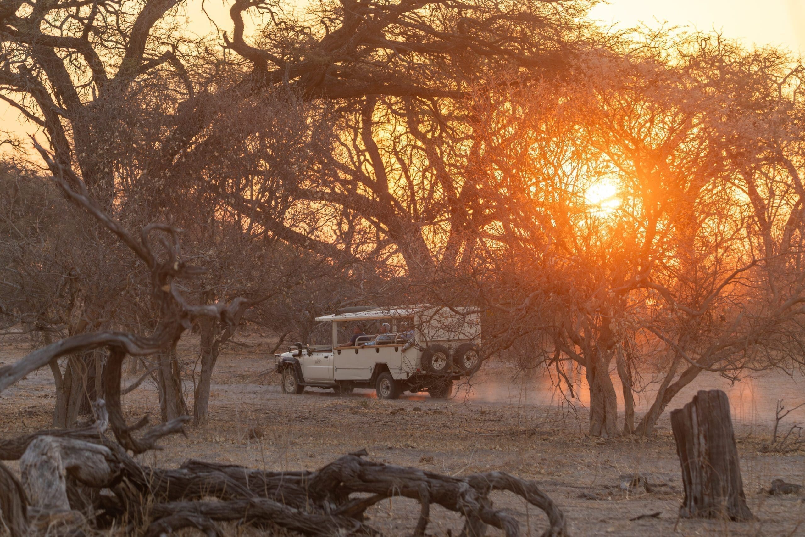 Safari in Mababe Concession | Sandy Tracks