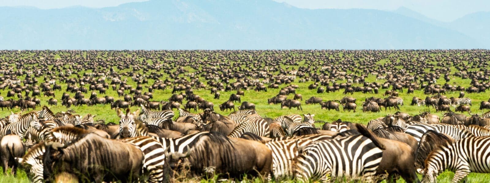 Serengeti National Park