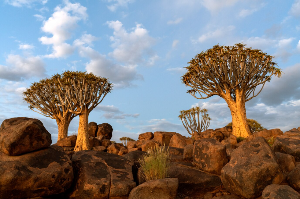 Ontdek Kaokoveld