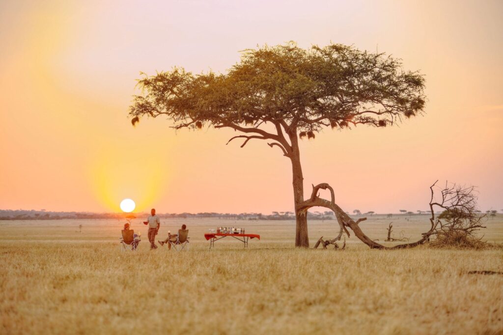 Discover Tanzania Serengeti national Park