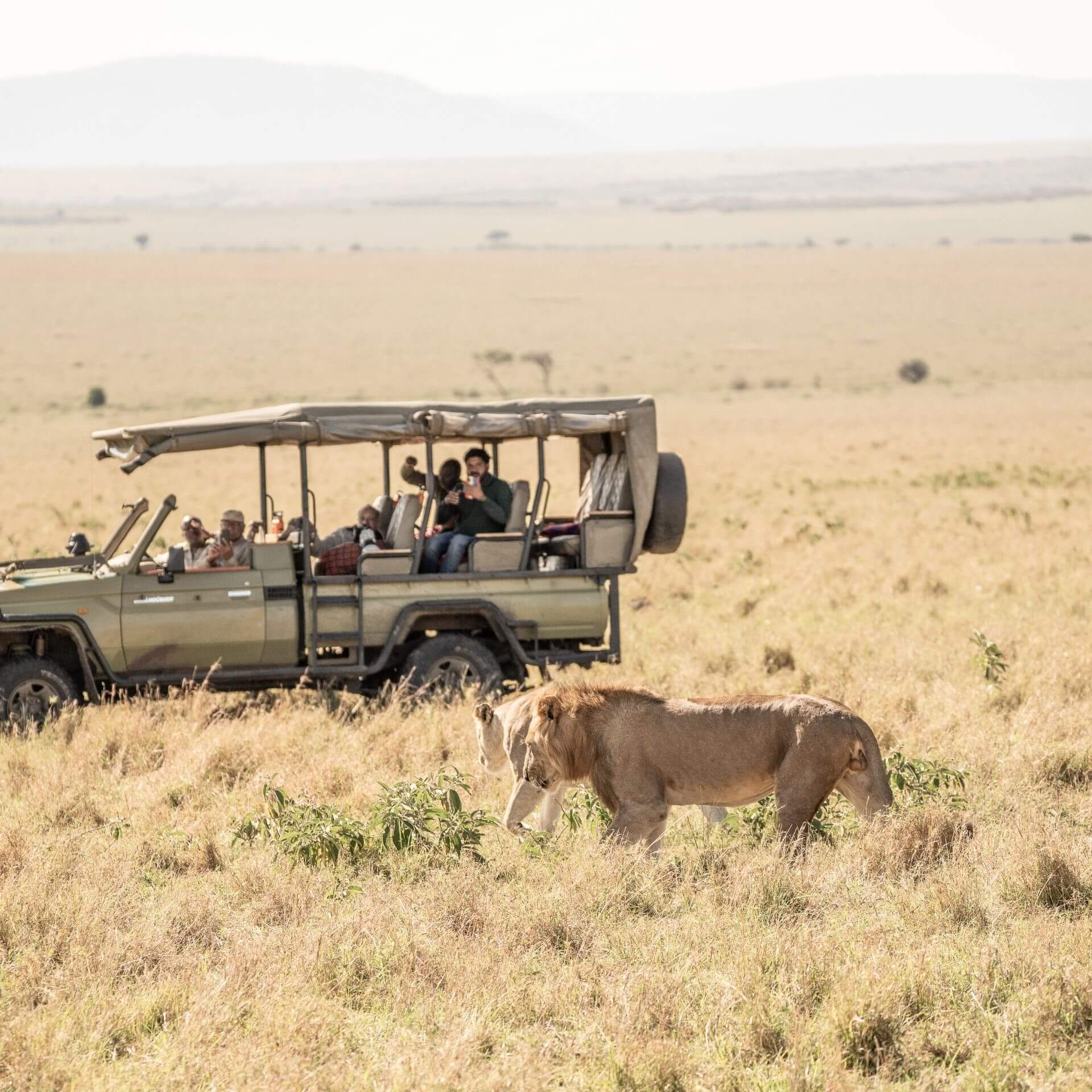 Kenya Safaris