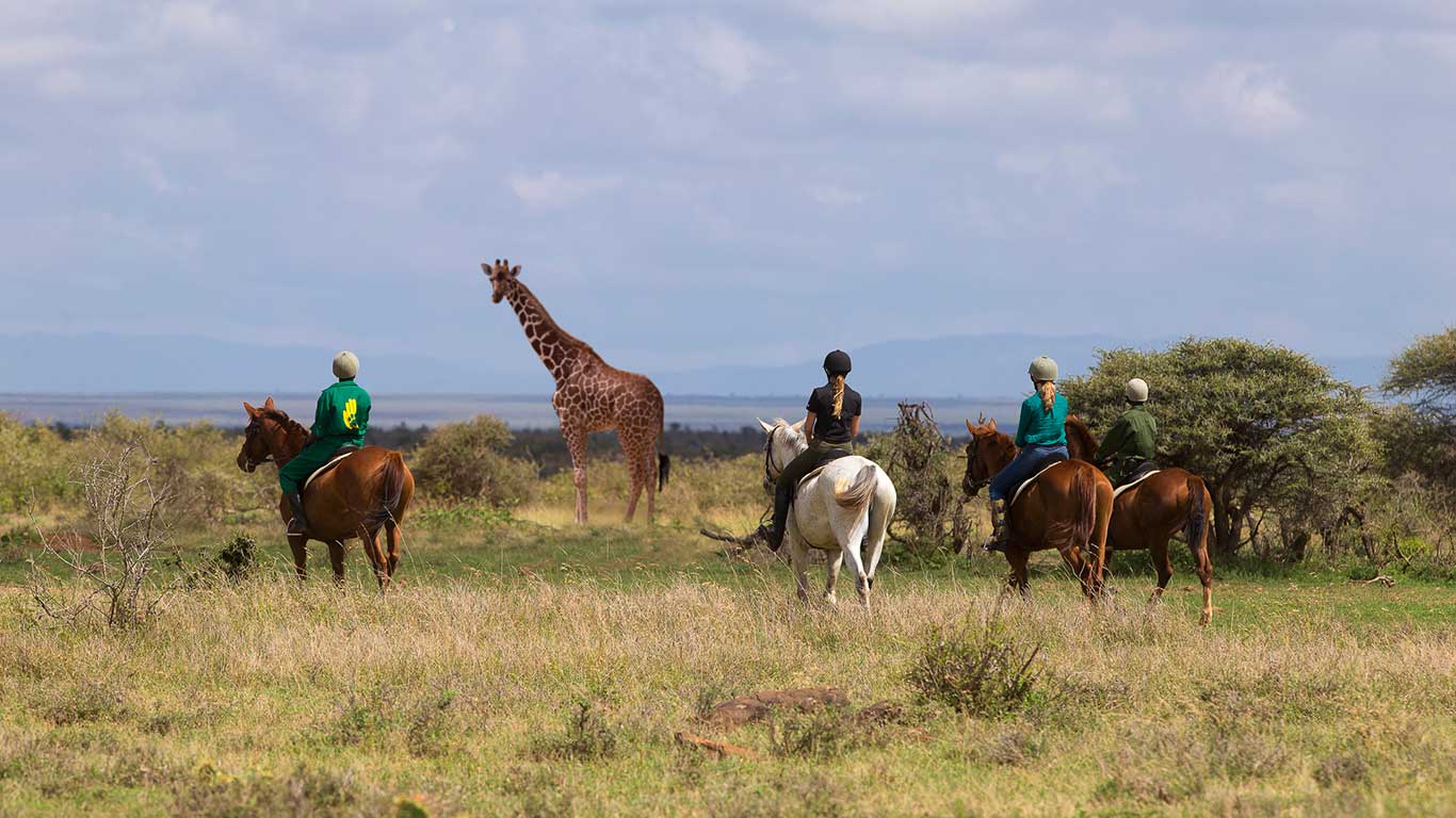 Kenya Safaris