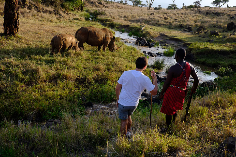 Walking With Rhinos Safari | Sandy Tracks