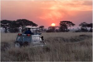 Safari con il caracal del Botswana