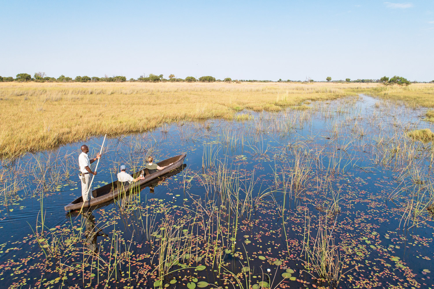 Best of Botswana Safaris