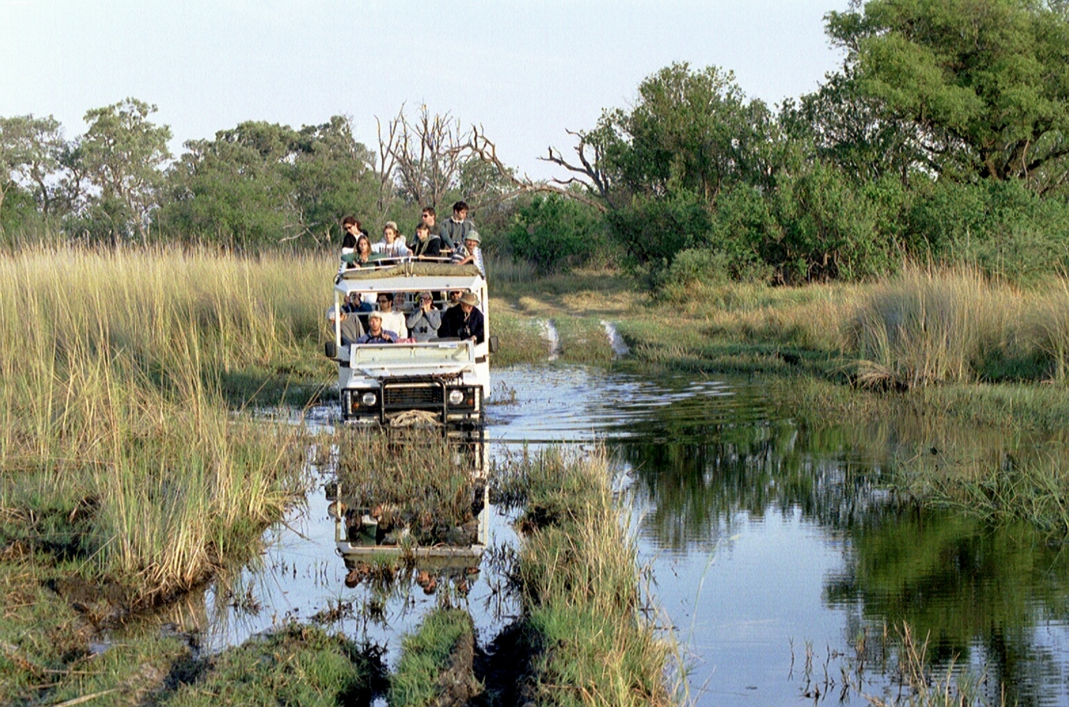 Botswana African Safari